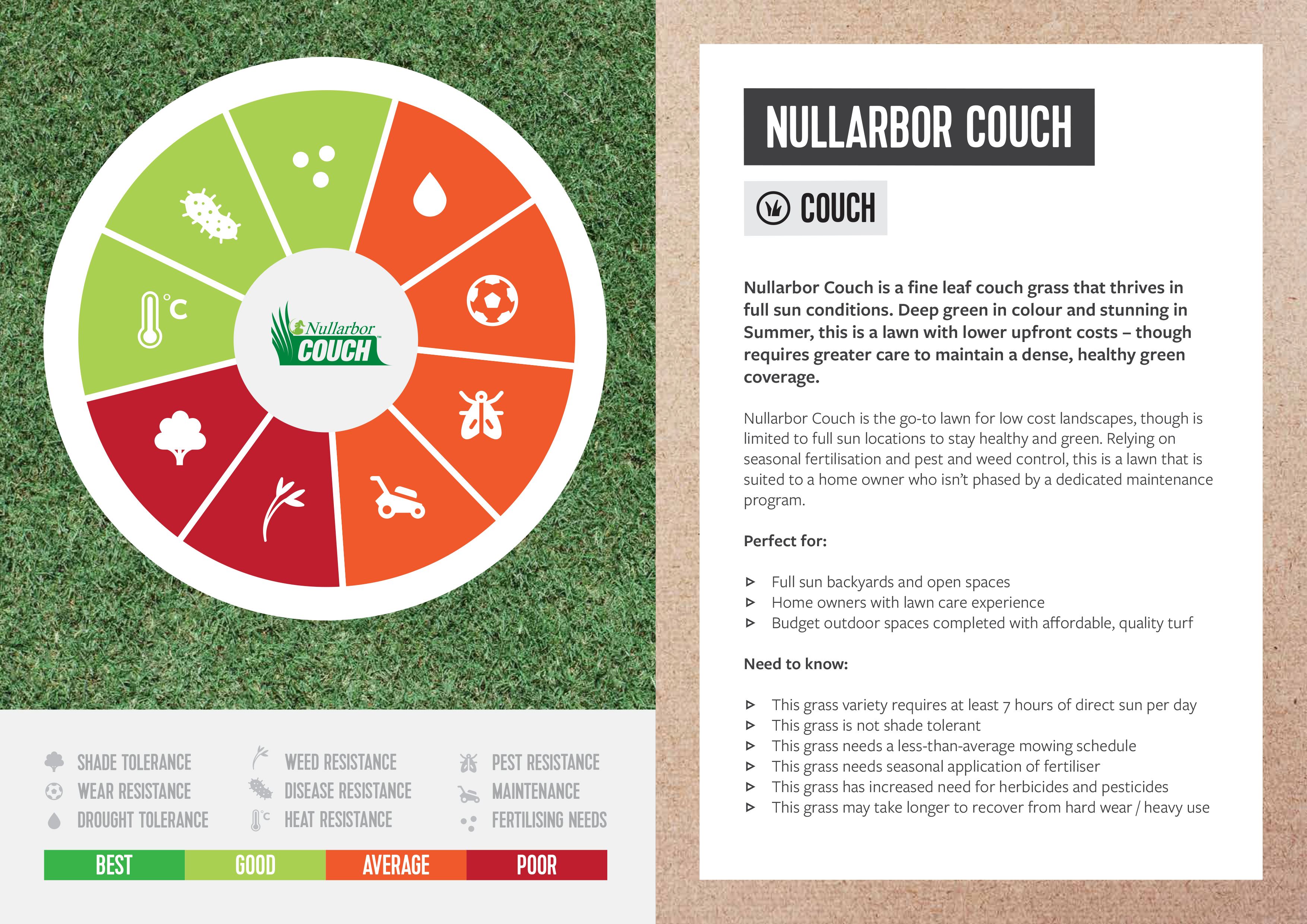 Nullarbor Couch Turf Sapar Landscaping Supplies